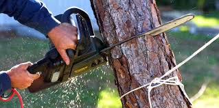 Best Lawn Irrigation Installation and Maintenance  in Gig Harbor, WA