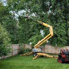 Best Leaf Removal  in Gig Harbor, WA
