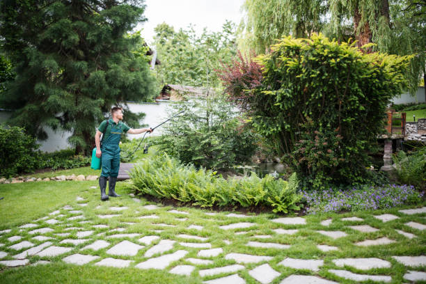 Best Pest Control for Lawns  in Gig Harbor, WA