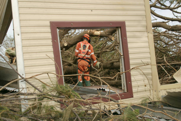 Best Utility Line Clearance  in Gig Harbor, WA